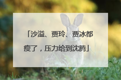 沙溢、贾玲、贾冰都瘦了，压力给到沈腾