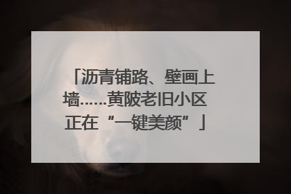 沥青铺路、壁画上墙……黄陂老旧小区正在“一键美颜”