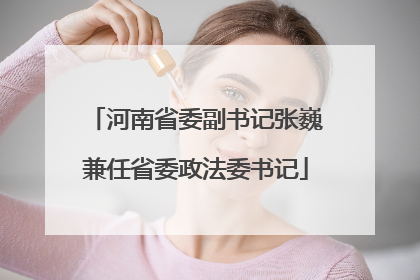 河南省委副书记张巍兼任省委政法委书记