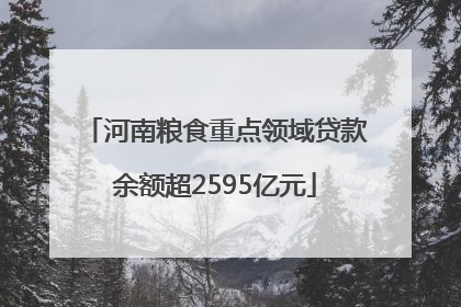河南粮食重点领域贷款余额超2595亿元