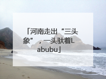 河南走出“三头象”，一头驮着Labubu