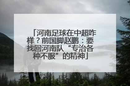 河南足球在中超咋样？前国脚赵鹏：要找回河南队“专治各种不服”的精神
