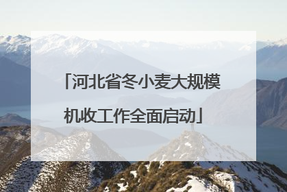河北省冬小麦大规模机收工作全面启动
