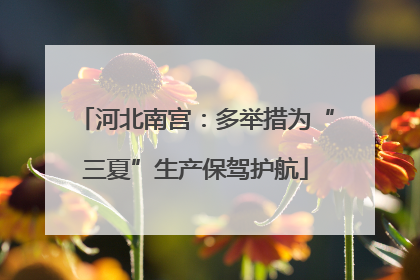 河北南宫：多举措为“三夏”生产保驾护航