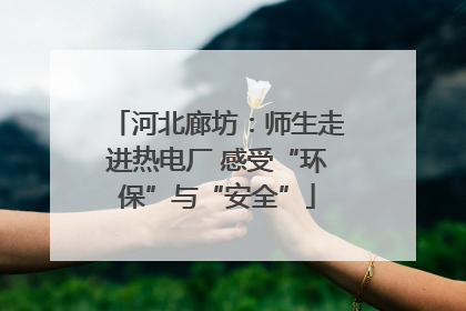 河北廊坊：师生走进热电厂 感受“环保”与“安全”