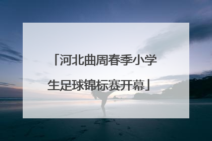 河北曲周春季小学生足球锦标赛开幕