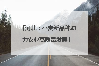 河北：小麦新品种助力农业高质量发展