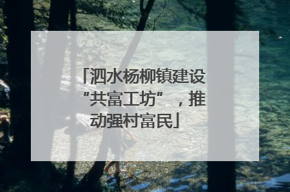泗水杨柳镇建设“共富工坊”，推动强村富民
