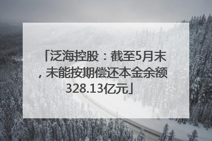泛海控股：截至5月末，未能按期偿还本金余额328.13亿元