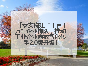 泰安构建“十百千万”企业梯队，推动工业企业向数智化转型2.0版升级