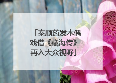 泰顺药发木偶戏借《藏海传》再入大众视野