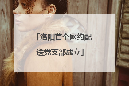 洛阳首个网约配送党支部成立