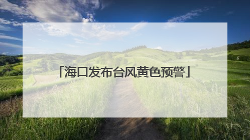 海口发布台风黄色预警