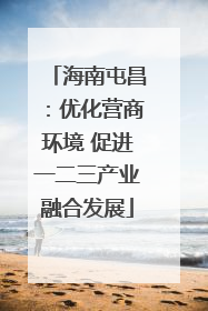 海南屯昌：优化营商环境 促进一二三产业融合发展