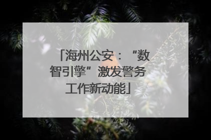海州公安：“数智引擎”激发警务工作新动能