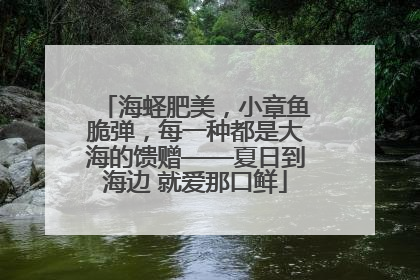 海蛏肥美，小章鱼脆弹，每一种都是大海的馈赠——夏日到海边 就爱那口鲜