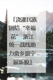 浇灌民族团结“幸福花” 浙江统一战线助力畲乡景宁展新貌