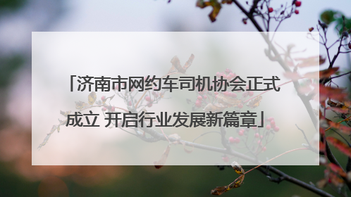 济南市网约车司机协会正式成立 开启行业发展新篇章