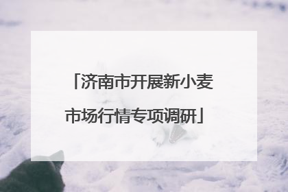 济南市开展新小麦市场行情专项调研