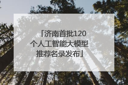 济南首批120个人工智能大模型推荐名录发布