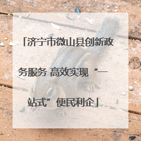 济宁市微山县创新政务服务 高效实现“一站式”便民利企