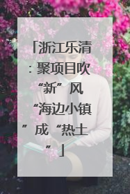浙江乐清：聚项目吹“新”风 “海边小镇”成“热土”
