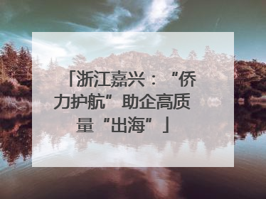 浙江嘉兴：“侨力护航”助企高质量“出海”