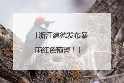浙江建德发布暴雨红色预警！