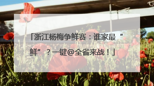浙江杨梅争鲜赛：谁家最“鲜”？一键@全省来战！