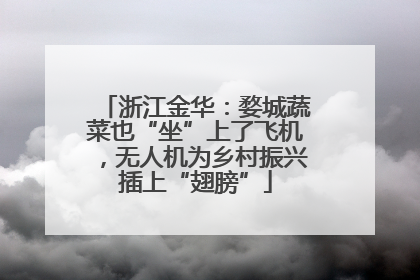 浙江金华：婺城蔬菜也“坐”上了飞机，无人机为乡村振兴插上“翅膀”