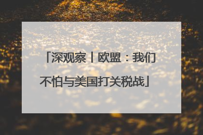 深观察丨欧盟：我们不怕与美国打关税战