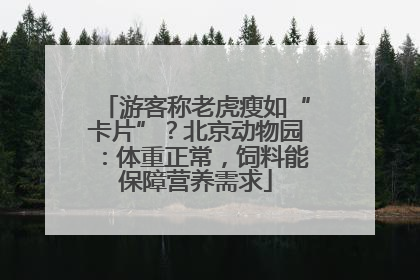 游客称老虎瘦如“卡片”？北京动物园：体重正常，饲料能保障营养需求