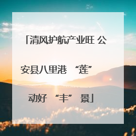 清风护航产业旺 公安县八里港 “莲” 动好 “丰” 景