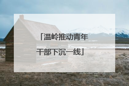 温岭推动青年干部下沉一线