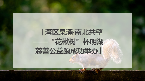 湾区泉涌·南北共擎——“花楸树”杯明湖慈善公益跑成功举办