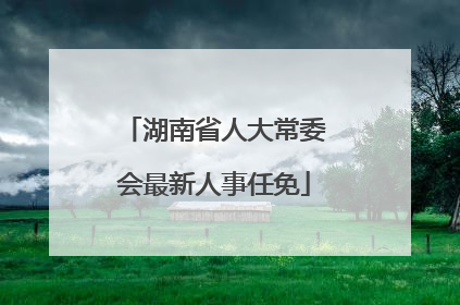 湖南省人大常委会最新人事任免