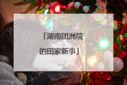 湖南团洲垸的田家新事