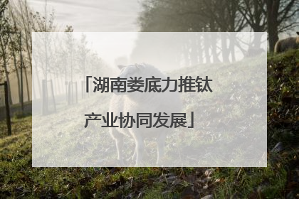 湖南娄底力推钛产业协同发展