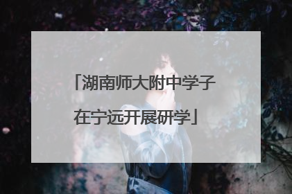 湖南师大附中学子在宁远开展研学