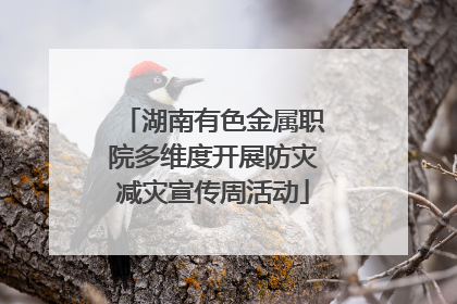 湖南有色金属职院多维度开展防灾减灾宣传周活动