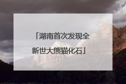 湖南首次发现全新世大熊猫化石