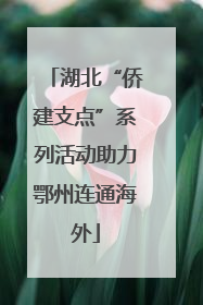 湖北“侨建支点”系列活动助力鄂州连通海外