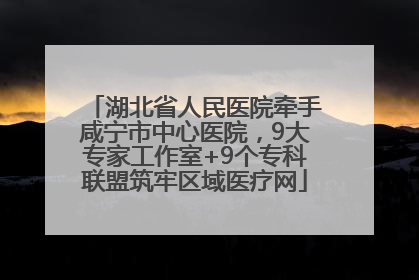 湖北省人民医院牵手咸宁市中心医院，9大专家工作室+9个专科联盟筑牢区域医疗网
