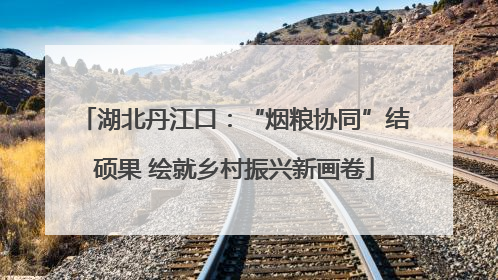 湖北丹江口：“烟粮协同”结硕果 绘就乡村振兴新画卷