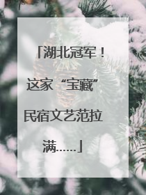 湖北冠军！这家“宝藏”民宿文艺范拉满……