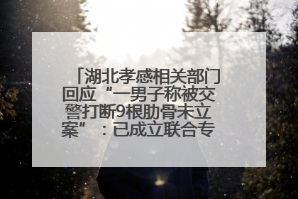 湖北孝感相关部门回应“一男子称被交警打断9根肋骨未立案”：已成立联合专班开展工作
