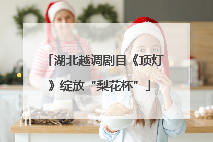 湖北越调剧目《顶灯》绽放“梨花杯”