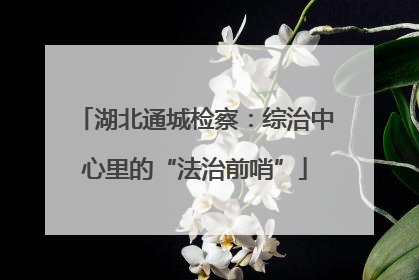 湖北通城检察：综治中心里的“法治前哨”