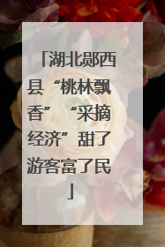 湖北郧西县“桃林飘香”“采摘经济”甜了游客富了民