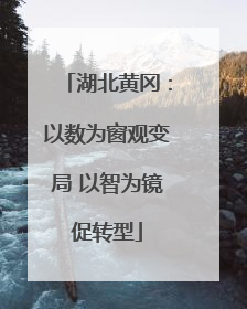湖北黄冈：以数为窗观变局 以智为镜促转型